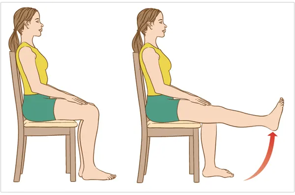 Ankle circle for seniors 