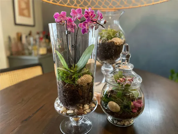 DIY terrarium craft for seniors