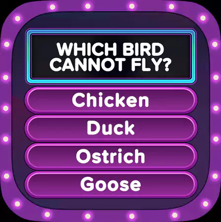 Trivia