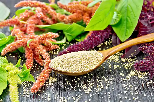 Amaranth Ancient Grain