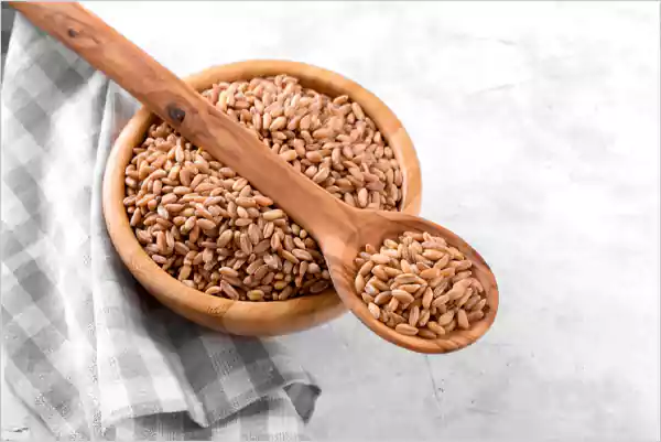 Farro Ancient Grain